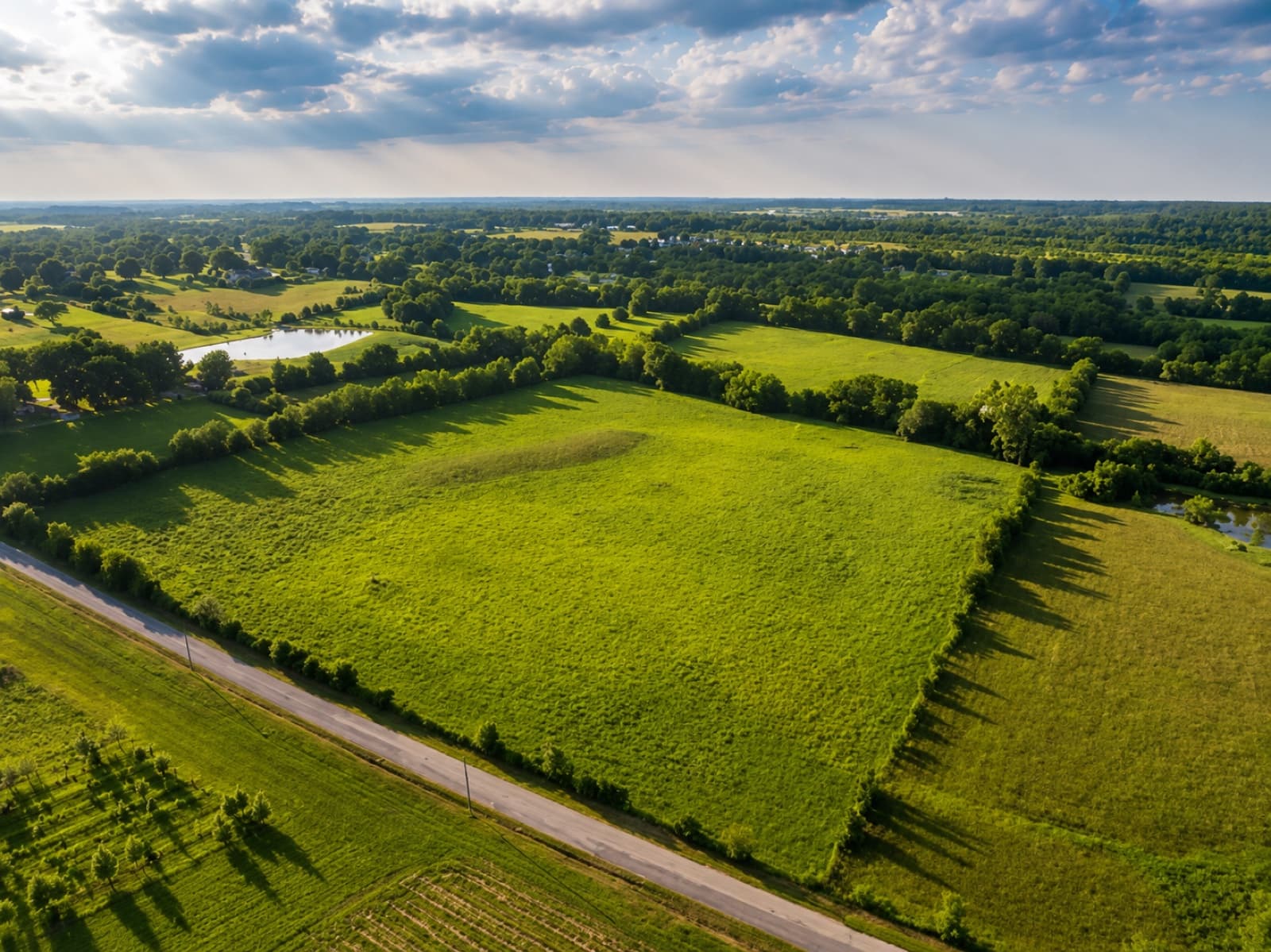 Aerial view of an open green pasture parcel bordered by treelines and a country road